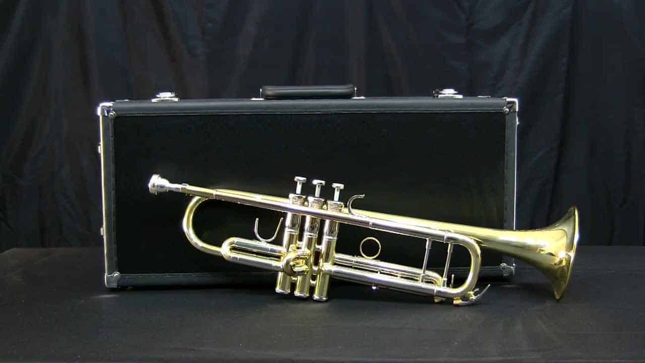 best-trumpet-mouthpiece-for-high-notes-in-2020-aolradioblog